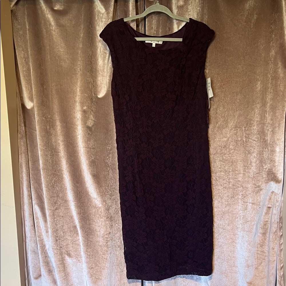 Evan Picone Bold Beginnings Plum Wine Elegant Lace Dress Size 16